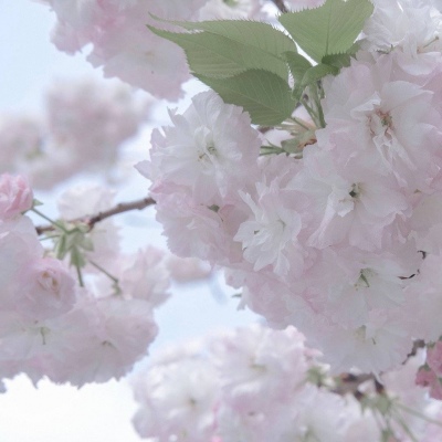 Furry原创作品设计思路福瑞交流群